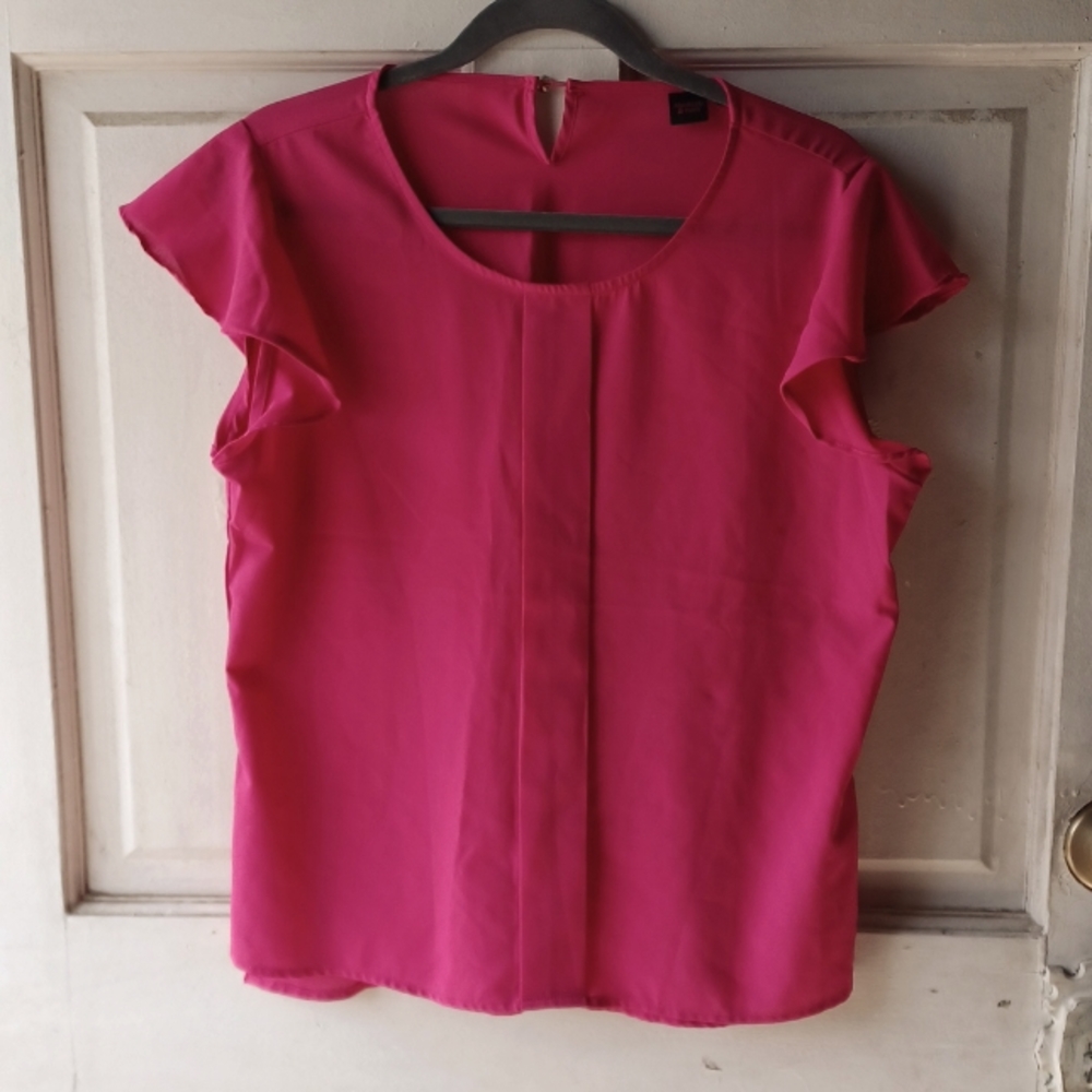 Absolutely & Faith Pink Blouse size 2X